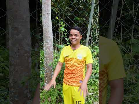 san bong da trong rung