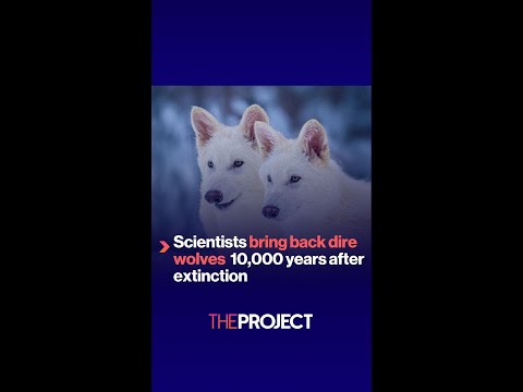 scientists bring back dire wolves 10000 years after