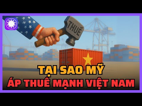 tai sao my ap thue manh len viet nam