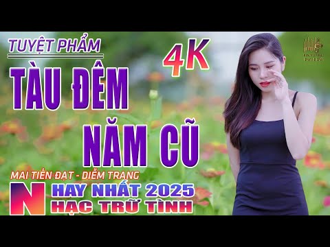 tau dem nam cu nguoi tinh khong denf09f9b91 nhac tru tinh hay nhat 2025 lk bolero nhac vang xua bat hu