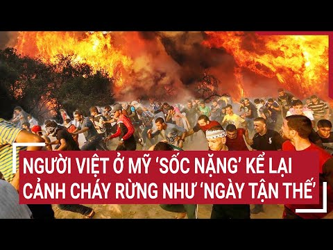tham kich chay rung nhu ngay tan the qua loi ke cua nguoi viet o my