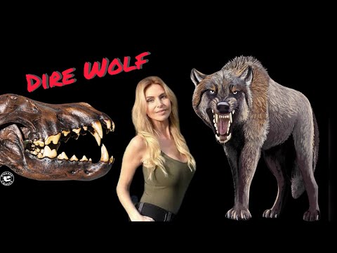 the dire wolf the most terrible huge wolf ever