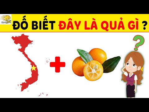 top 17 cau do meo ngan sieu hack nao chi danh cho 7 nguoi thong minh hai huoc nhanh tri caudo