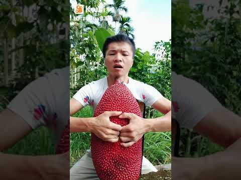 trai mit cua nguoi trung quoc