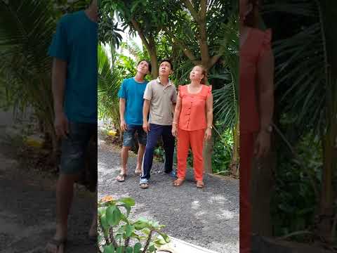 trua nang len noc nha hat phuoc lay shorts
