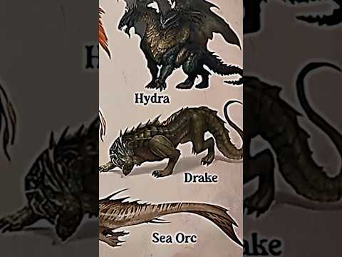 types of dragonspart 7drakecreature dragon likemythtseriesmrbeast