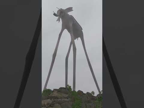 very long leg elephant shorts giant