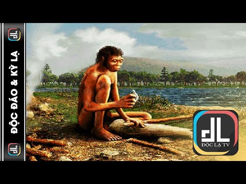 vi sao nguoi tien su lai roi chau phi nguoi tien su homo sapiens va nhung cuoc di cu dltv