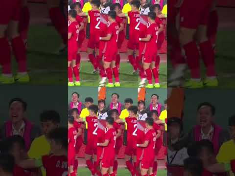 viet nam vs thai lan chung ket aff cup vao vo oa ban thang phut cuoi