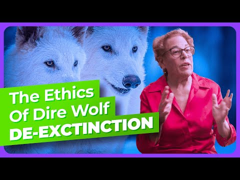 why bring back the dire wolf