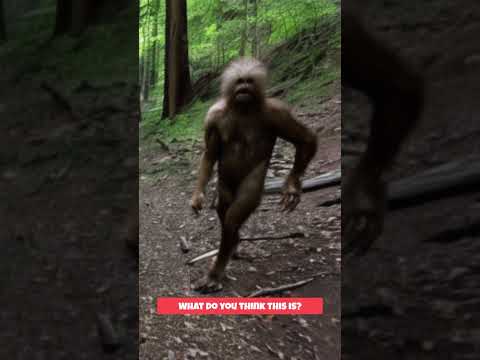 yeti or sasquatch on trail cam shorts